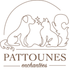 Pattounes enchantées